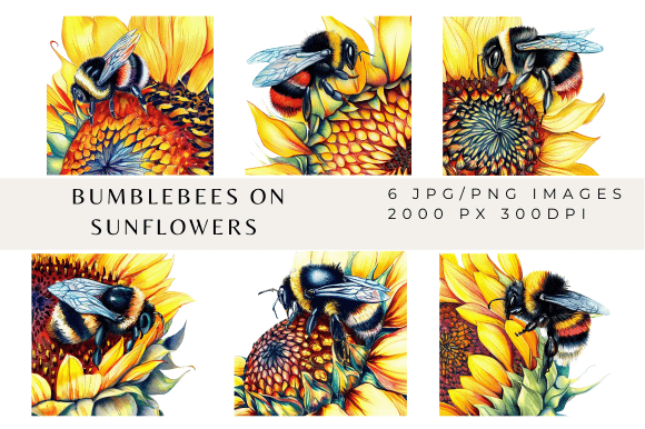 Bumblebees on Sunflowers Graphic